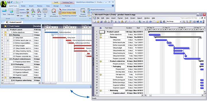 MS Project WBS